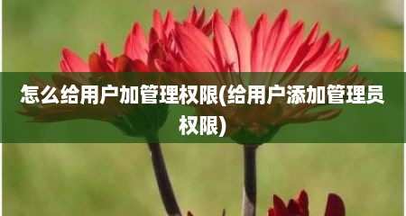 怎么给用户加管理权限(给用户添加管理员权限)
