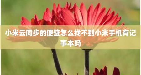 小米云同步的便签怎么找不到小米手机有记事本吗