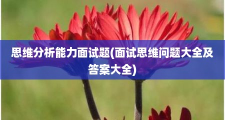 思维分析能力面试题(面试思维问题大全及答案大全)