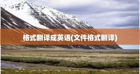 格式翻译成英语(文件格式翻译)