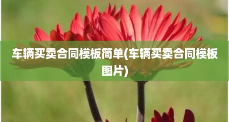 车辆买卖合同模板简单(车辆买卖合同模板图片)