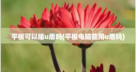 平板可以插u盾吗(平板电脑能用u盾吗)