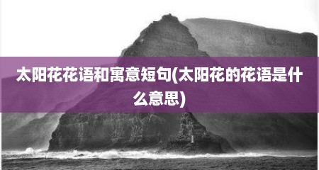 太阳花花语和寓意短句(太阳花的花语是什么意思)