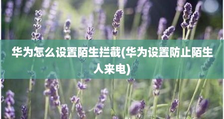 华为怎么设置陌生拦截(华为设置防止陌生人来电)
