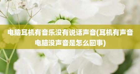 电脑耳机有音乐没有说话声音(耳机有声音电脑没声音是怎么回事)
