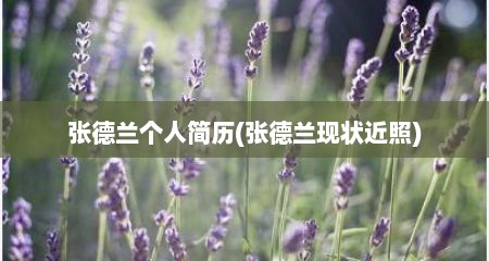 张德兰个人简历(张德兰现状近照)
