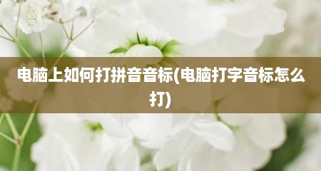 电脑上如何打拼音音标(电脑打字音标怎么打)
