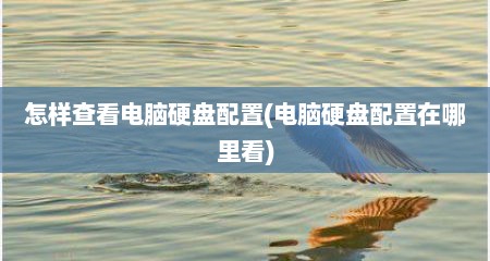 怎样查看电脑硬盘配置(电脑硬盘配置在哪里看)