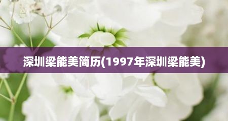 深圳梁能美简历(1997年深圳梁能美)
