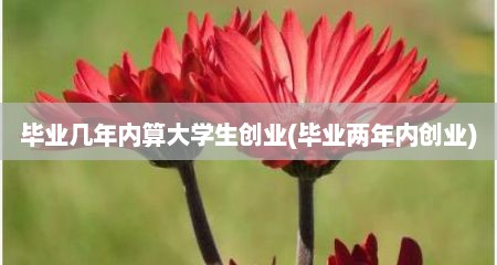 毕业几年内算大学生创业(毕业两年内创业)