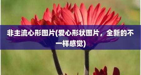 非主流心形图片(爱心形状图片，全新的不一样感觉)