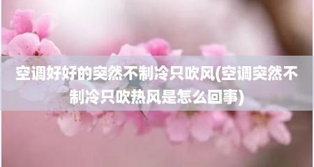 空调好好的突然不制冷只吹风(空调突然不制冷只吹热风是怎么回事)