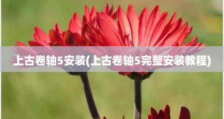 上古卷轴5安装(上古卷轴5完整安装教程)