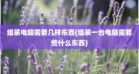 组装电脑需要几样东西(组装一台电脑需要些什么东西)