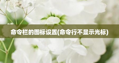 命令栏的图标设置(命令行不显示光标)