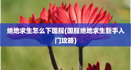 绝地求生怎么下国服(国服绝地求生新手入门攻略)