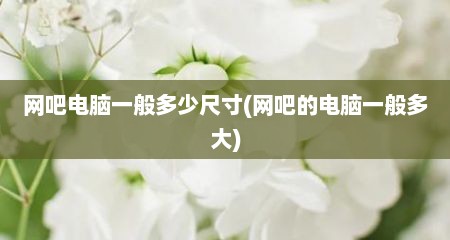 网吧电脑一般多少尺寸(网吧的电脑一般多大)