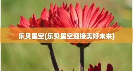 乐贝星空(乐贝星空迎接美好未来)