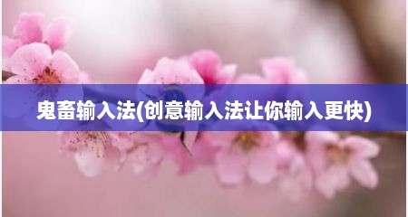 鬼畜输入法(创意输入法让你输入更快)