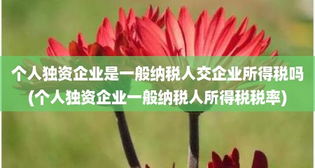 个人独资企业是一般纳税人交企业所得税吗(个人独资企业一般纳税人所得税税率)
