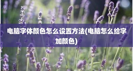 电脑字体颜色怎么设置方法(电脑怎么给字加颜色)