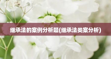 继承法的案例分析题(继承法类案分析)