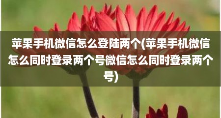 苹果手机微信怎么登陆两个(苹果手机微信怎么同时登录两个号微信怎么同时登录两个号)