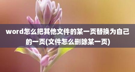 word怎么把其他文件的某一页替换为自己的一页(文件怎么删除某一页)