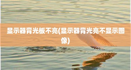 显示器背光板不亮(显示器背光亮不显示图像)