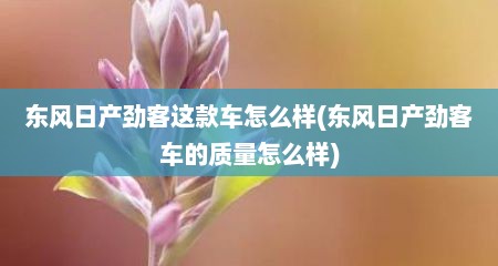 东风日产劲客这款车怎么样(东风日产劲客车的质量怎么样)
