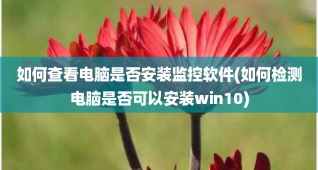 如何查看电脑是否安装监控软件(如何检测电脑是否可以安装win10)