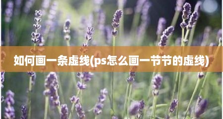如何画一条虚线(ps怎么画一节节的虚线)