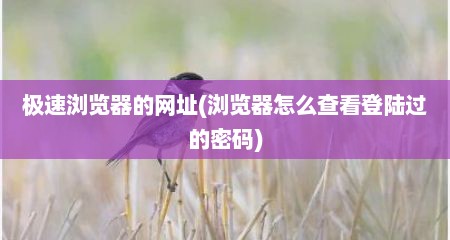 极速浏览器的网址(浏览器怎么查看登陆过的密码)