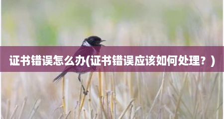 证书错误怎么办(证书错误应该如何处理？)