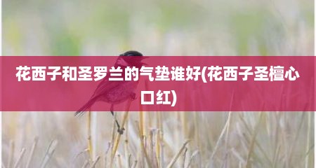 花西子和圣罗兰的气垫谁好(花西子圣檀心口红)