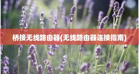 桥接无线路由器(无线路由器连接指南)