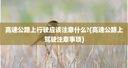 高速公路上行驶应该注意什么?(高速公路上驾驶注意事项)