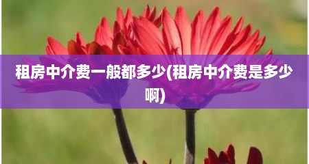 租房中介费一般都多少(租房中介费是多少啊)