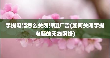 手提电脑怎么关闭弹窗广告(如何关闭手提电脑的无线网络)