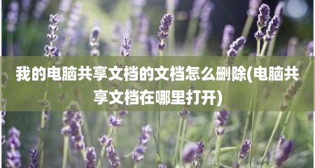 我的电脑共享文档的文档怎么删除(电脑共享文档在哪里打开)