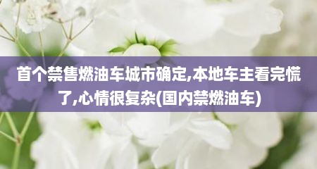 首个禁售燃油车城市确定,本地车主看完慌了,心情很复杂(国内禁燃油车)