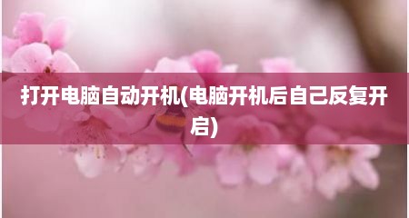 打开电脑自动开机(电脑开机后自己反复开启)