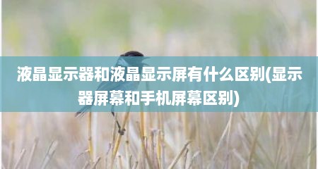液晶显示器和液晶显示屏有什么区别(显示器屏幕和手机屏幕区别)