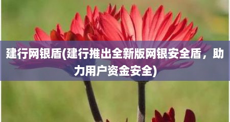 建行网银盾(建行推出全新版网银安全盾，助力用户资金安全)