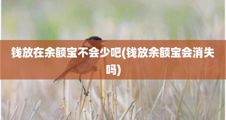 钱放在余额宝不会少吧(钱放余额宝会消失吗)