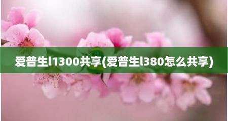 爱普生l1300共享(爱普生l380怎么共享)