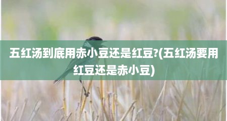 五红汤到底用赤小豆还是红豆?(五红汤要用红豆还是赤小豆)
