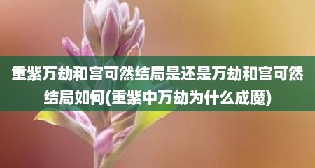 重紫万劫和宫可然结局是还是万劫和宫可然结局如何(重紫中万劫为什么成魔)