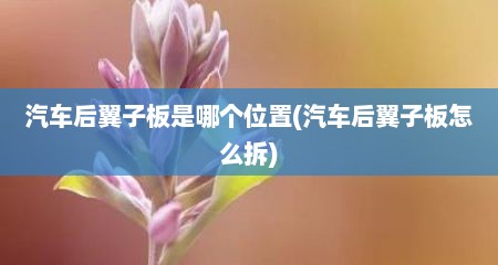 汽车后翼子板是哪个位置(汽车后翼子板怎么拆)