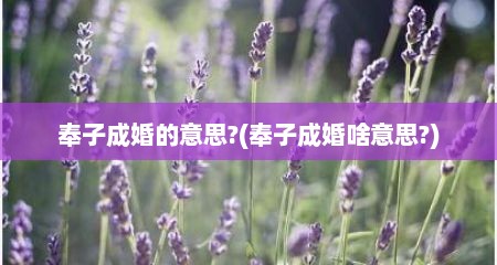 奉子成婚的意思?(奉子成婚啥意思?)